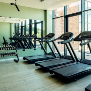 Layman Fit Commercial Treadmill – Pro Series 5000